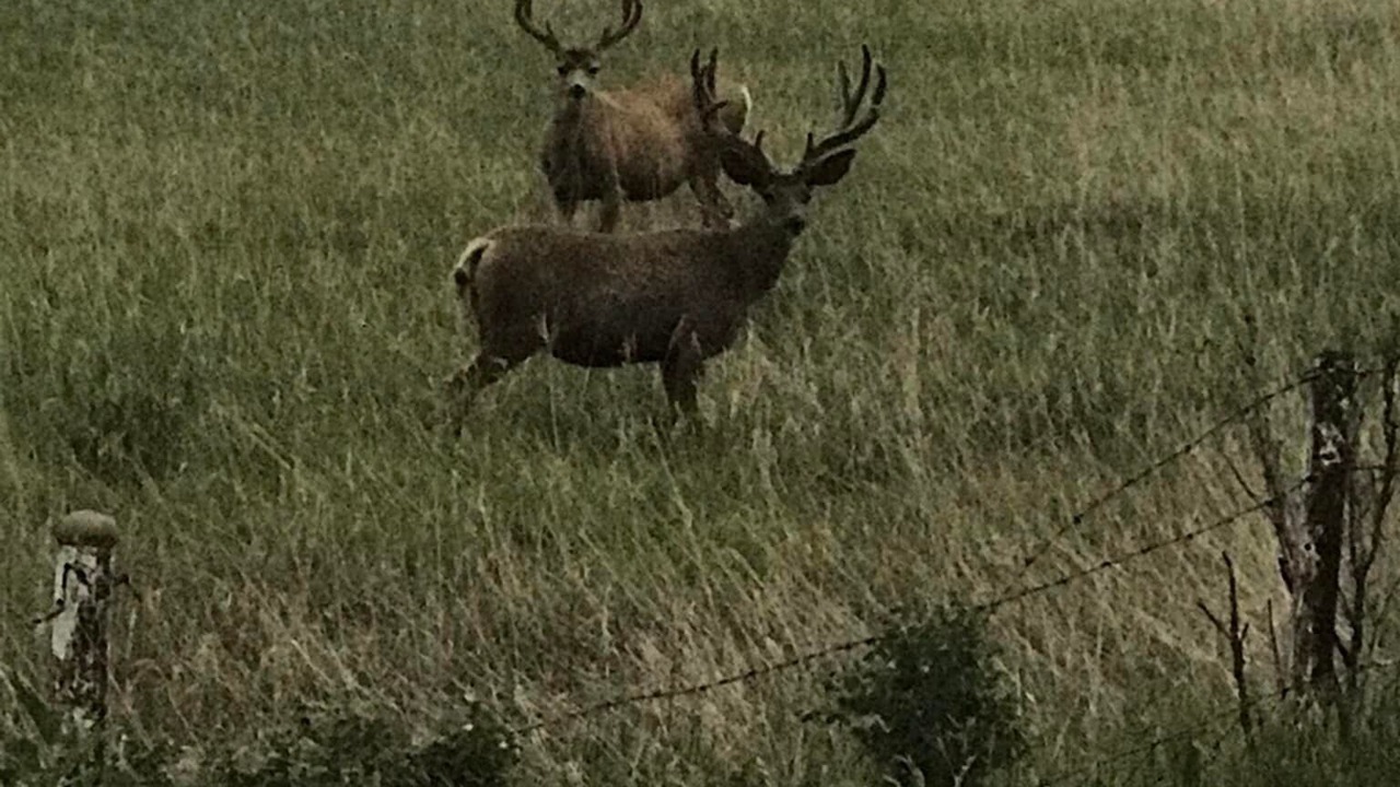 Photo of Outdoor in Beulah