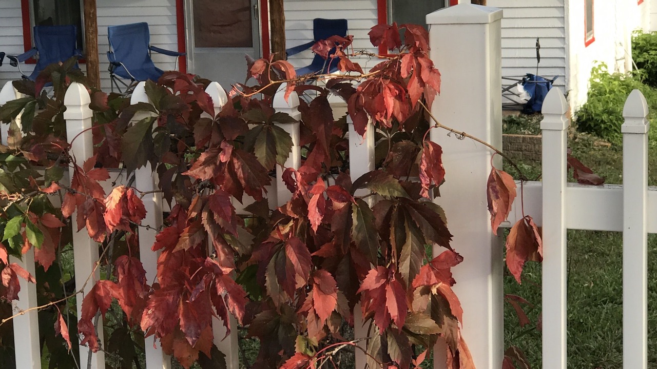 Photo of Outdoor in Beulah