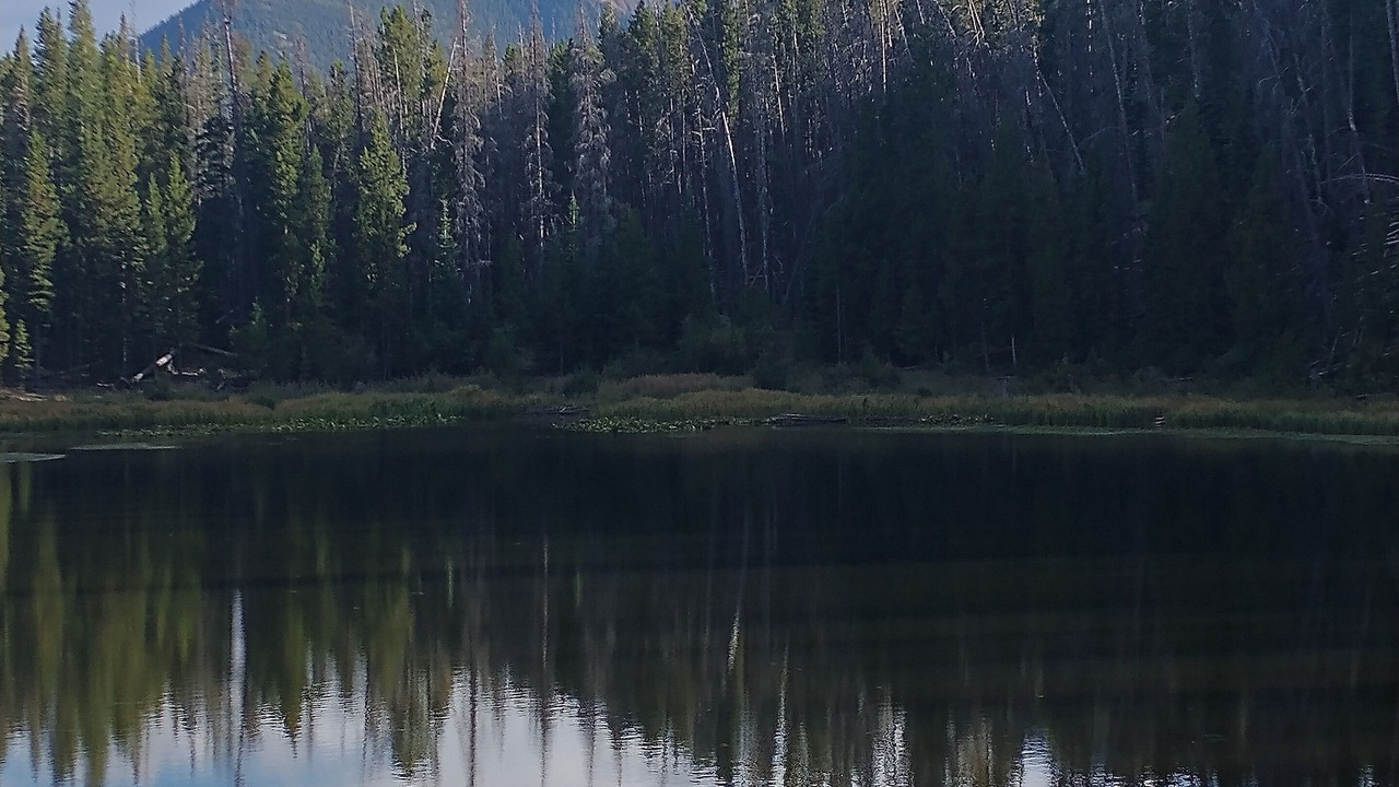 Photo of Others in Wildernest
