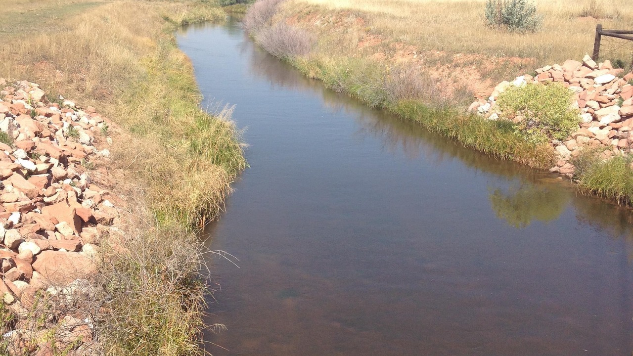Photo of Others in Livermore
