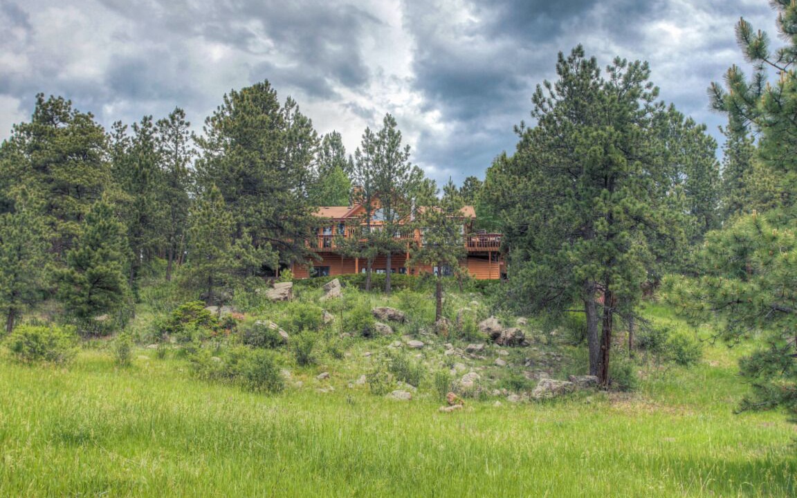 Photo of Outdoor in Pine