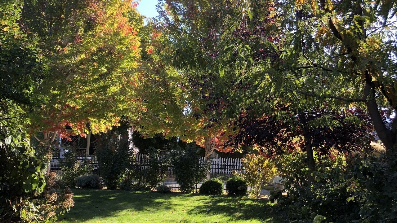 Photo of Outdoor in Paonia