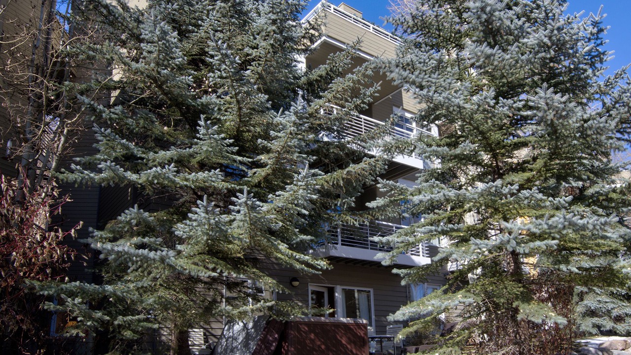 Photo of Others in Vail