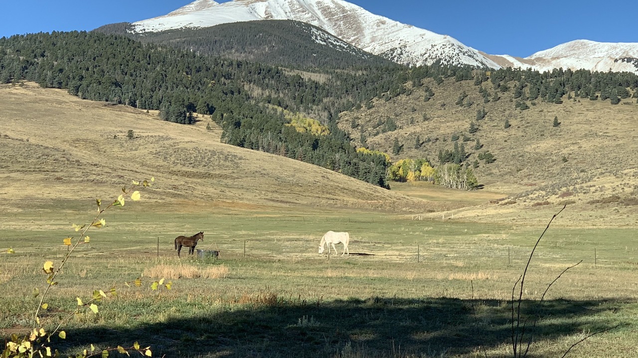 Photo of Others in Westcliffe