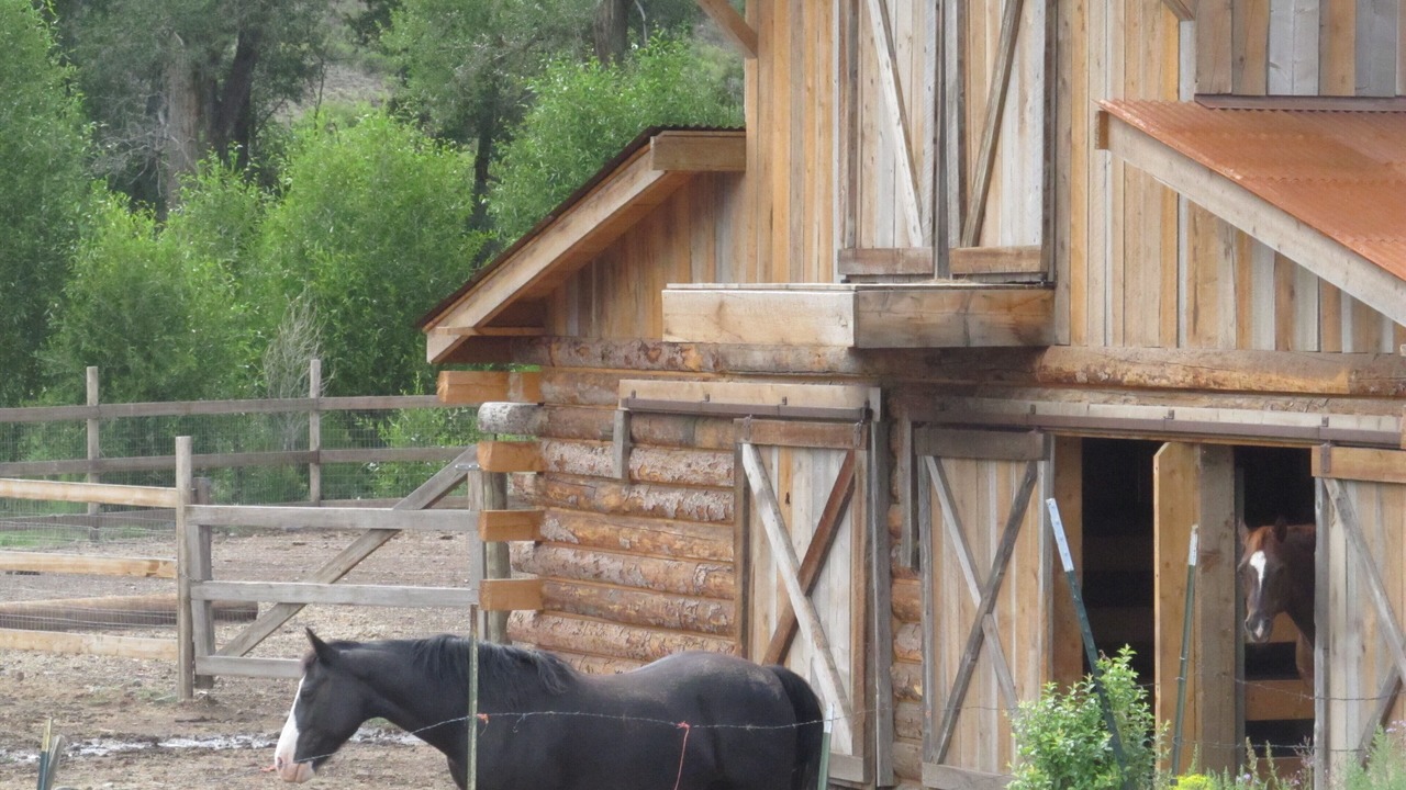 Photo of Outdoor in Del Norte