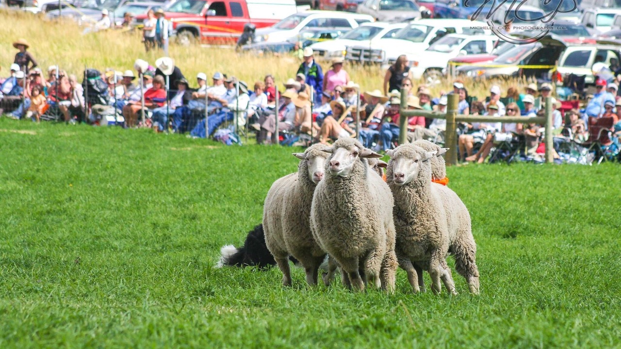 Photo of Others in Meeker