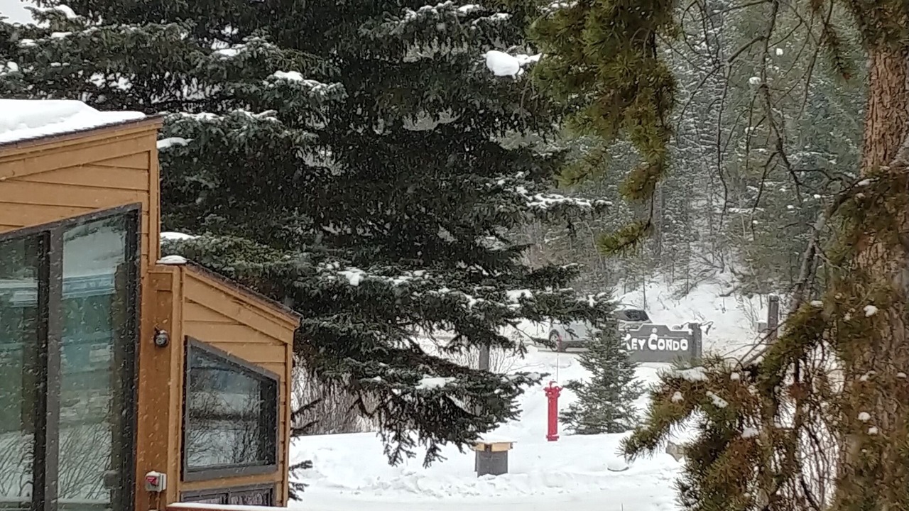 Photo of Outdoor in Mountain House