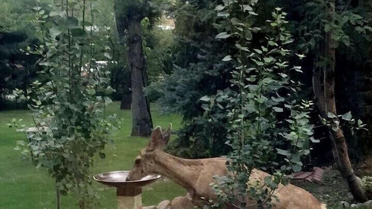 Photo of Others in Broadmoor