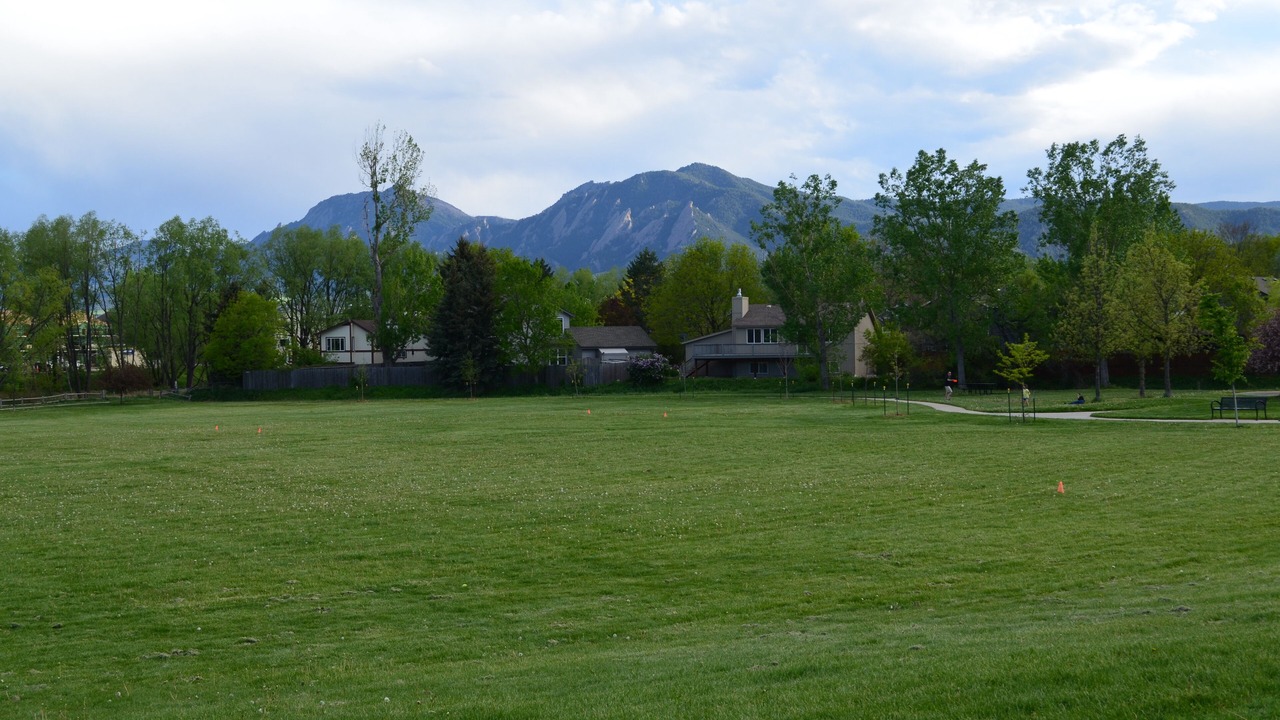 Photo of Others in Palo Park