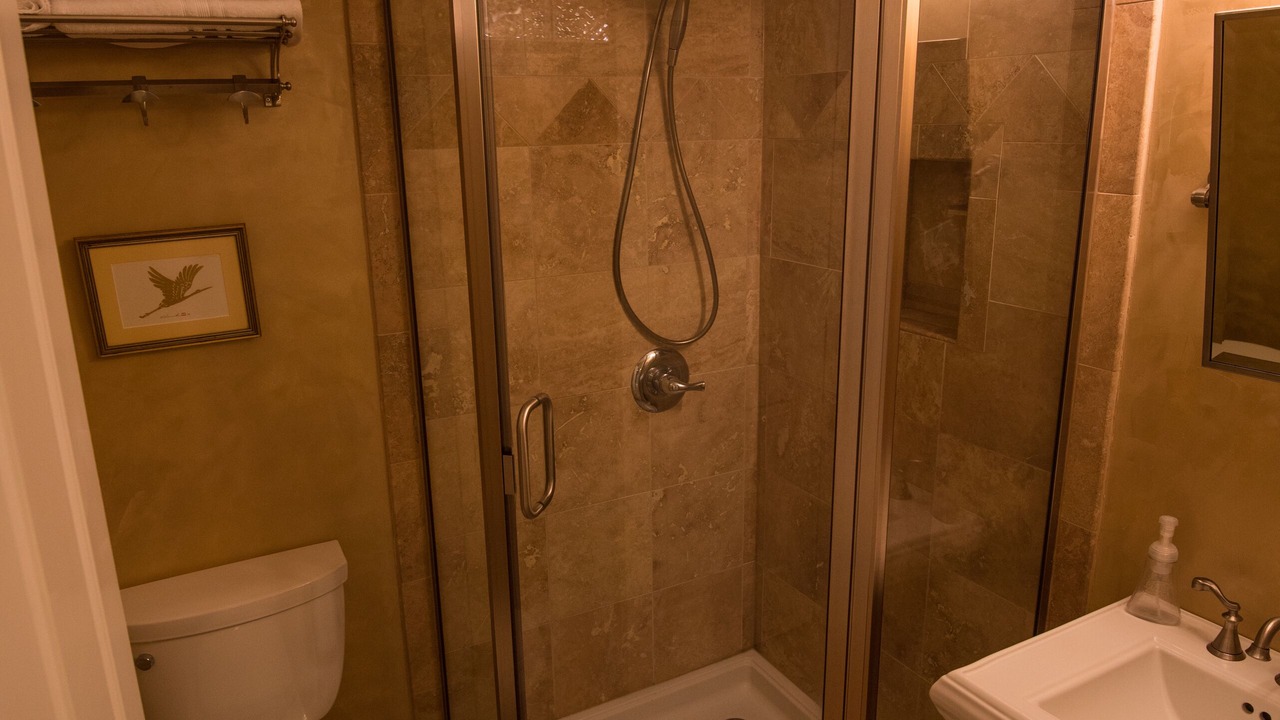 Photo of Bathroom in Palo Park