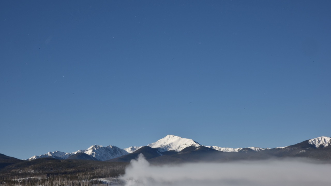 Photo of Others in Fraser
