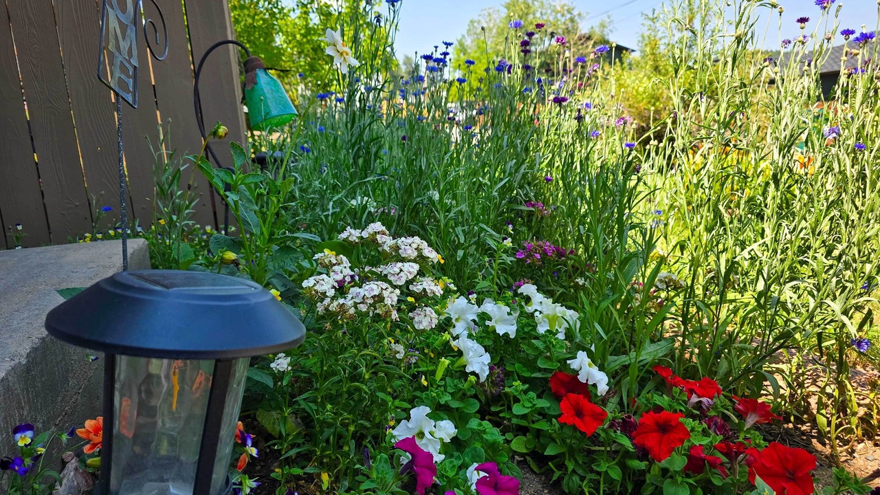 Photo of Outdoor in Kittredge