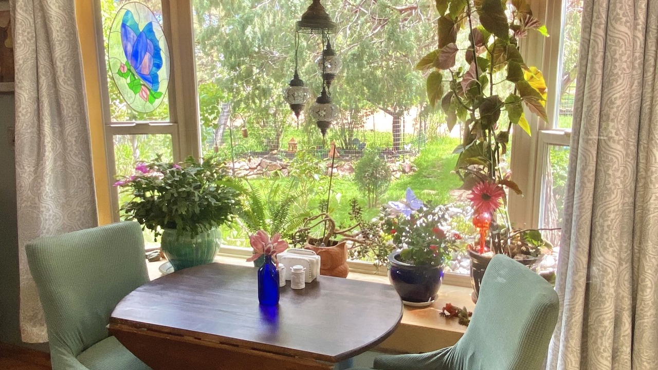 Photo of Outdoor in Palmer Lake