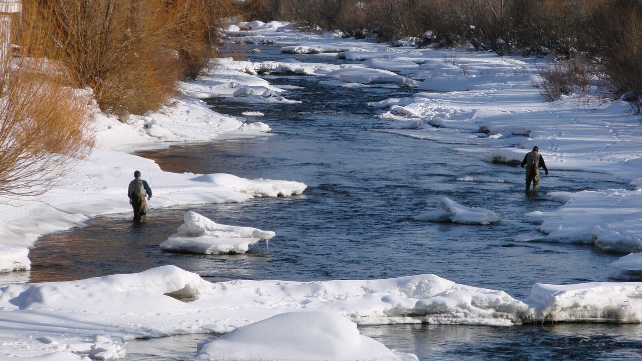 Photo of Others in Downtown Steamboat Springs