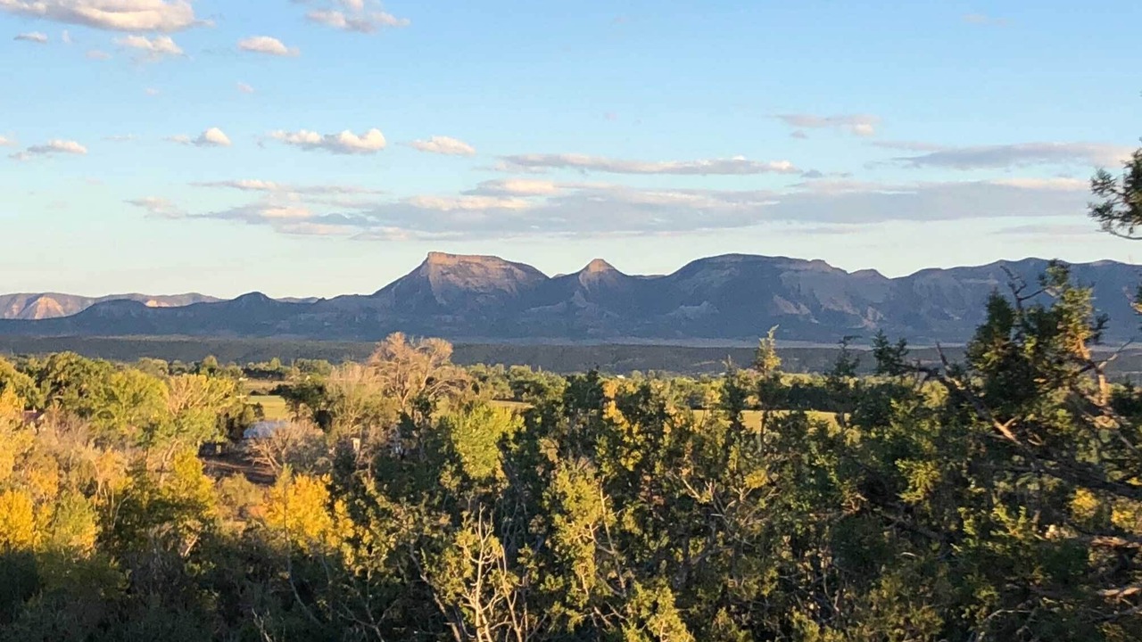 Photo of Others in Cortez