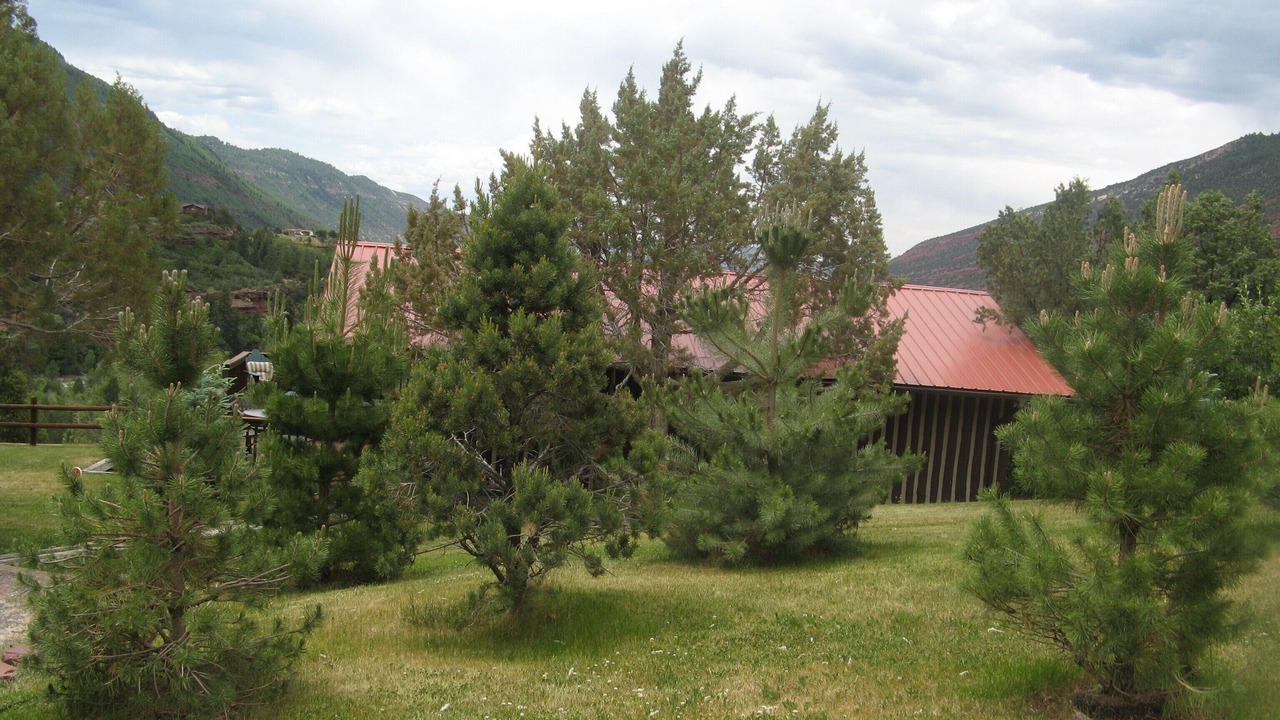 Photo of Outdoor in Ouray