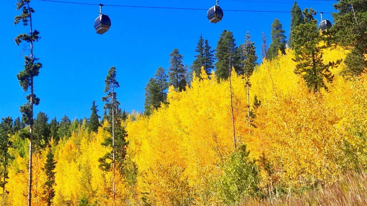 Photo of Others in Peak 9