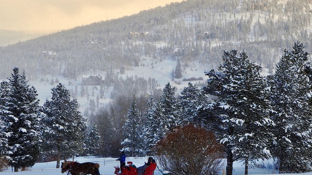 Photo of Others in Peak 9