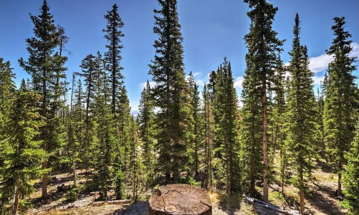 Photo of Outdoor in Valley of the Sun