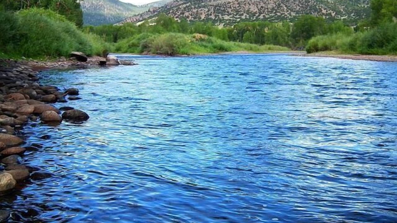 Photo of Others in South Fork