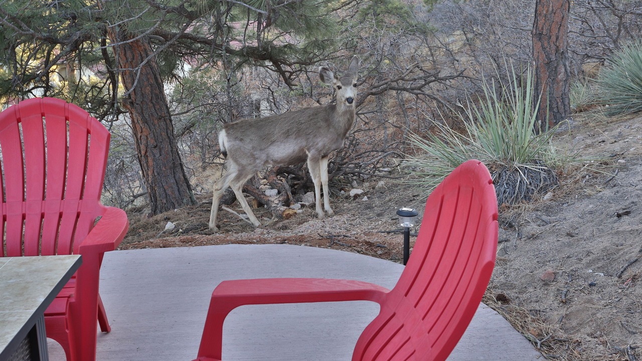 Photo of Outdoor in Northwest Colorado Springs