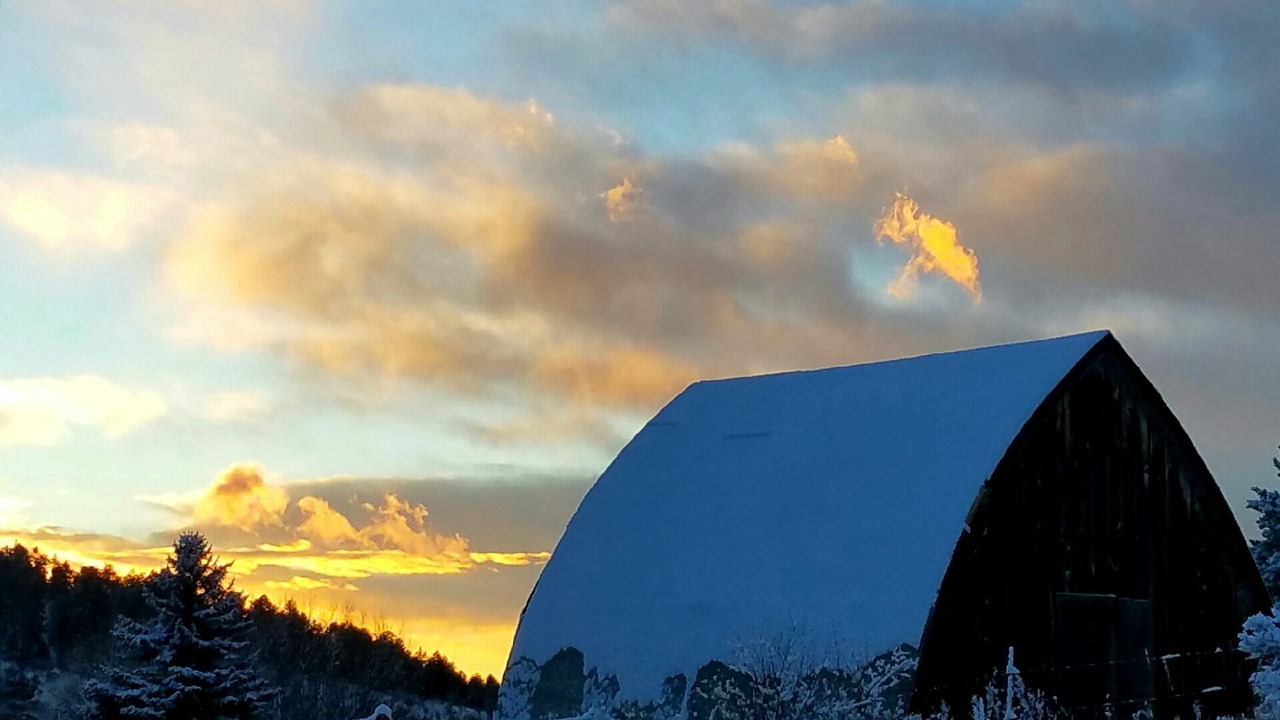 Photo of Outdoor in Woodland Park