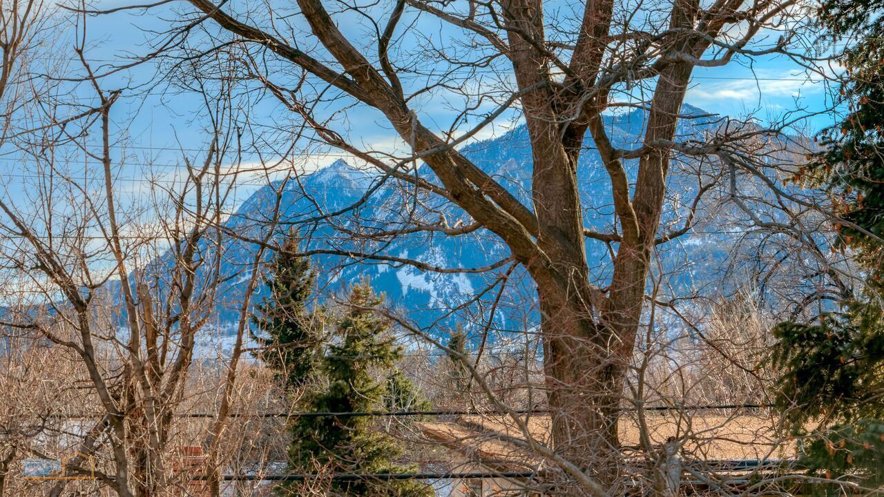 Photo of Outdoor in Newlands