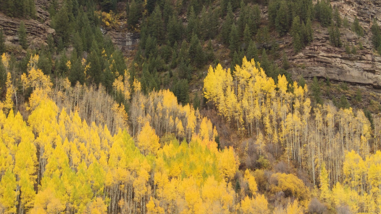 Photo of Outdoor in Beaver Creek