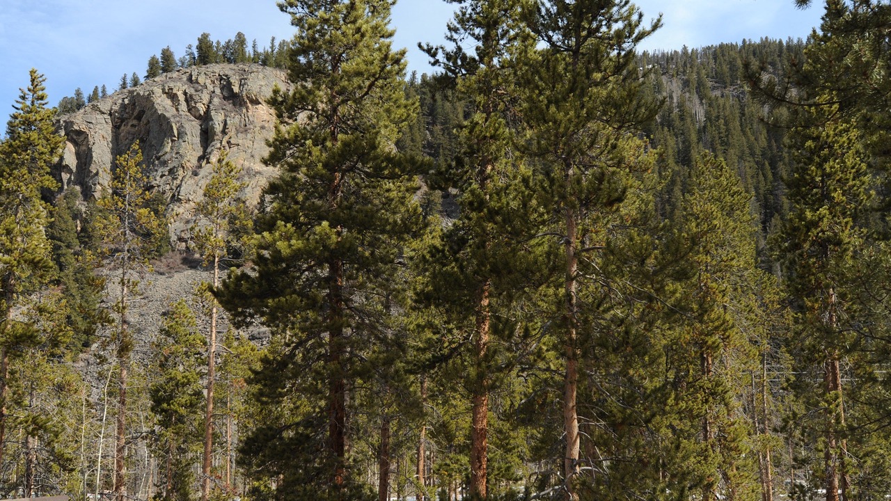 Photo of Others in Keystone