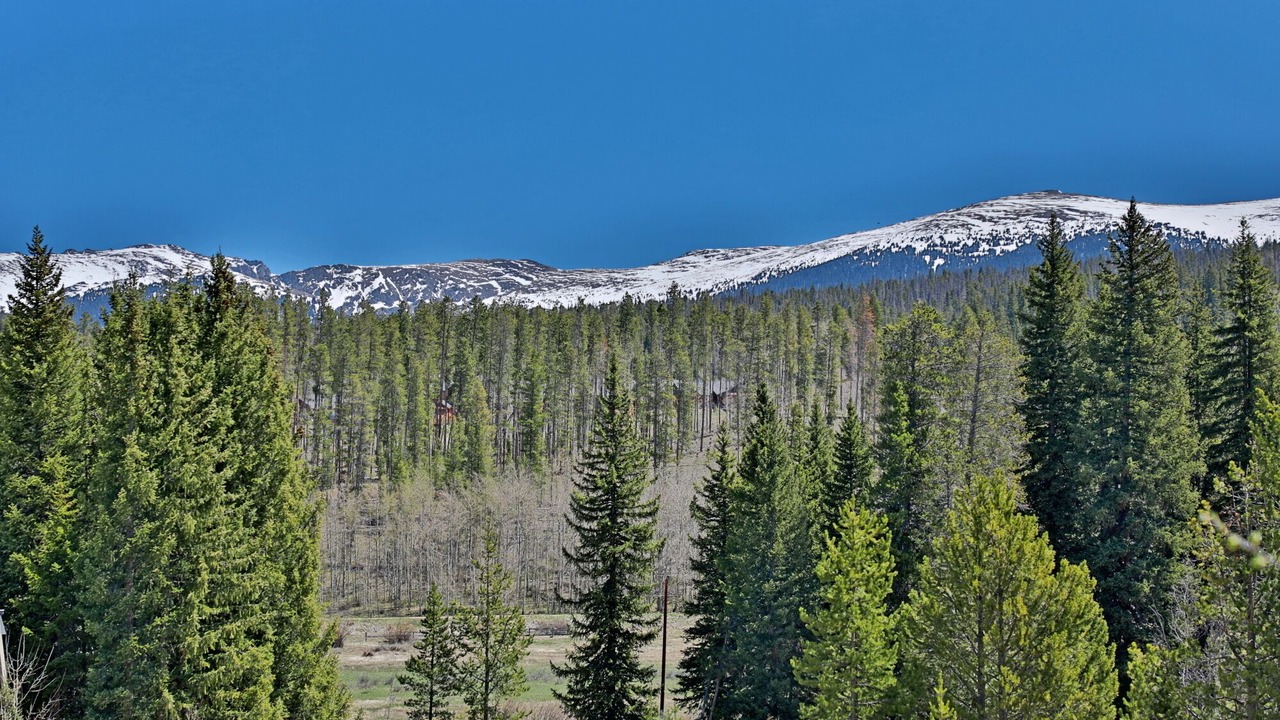 Photo of Others in Winter Park