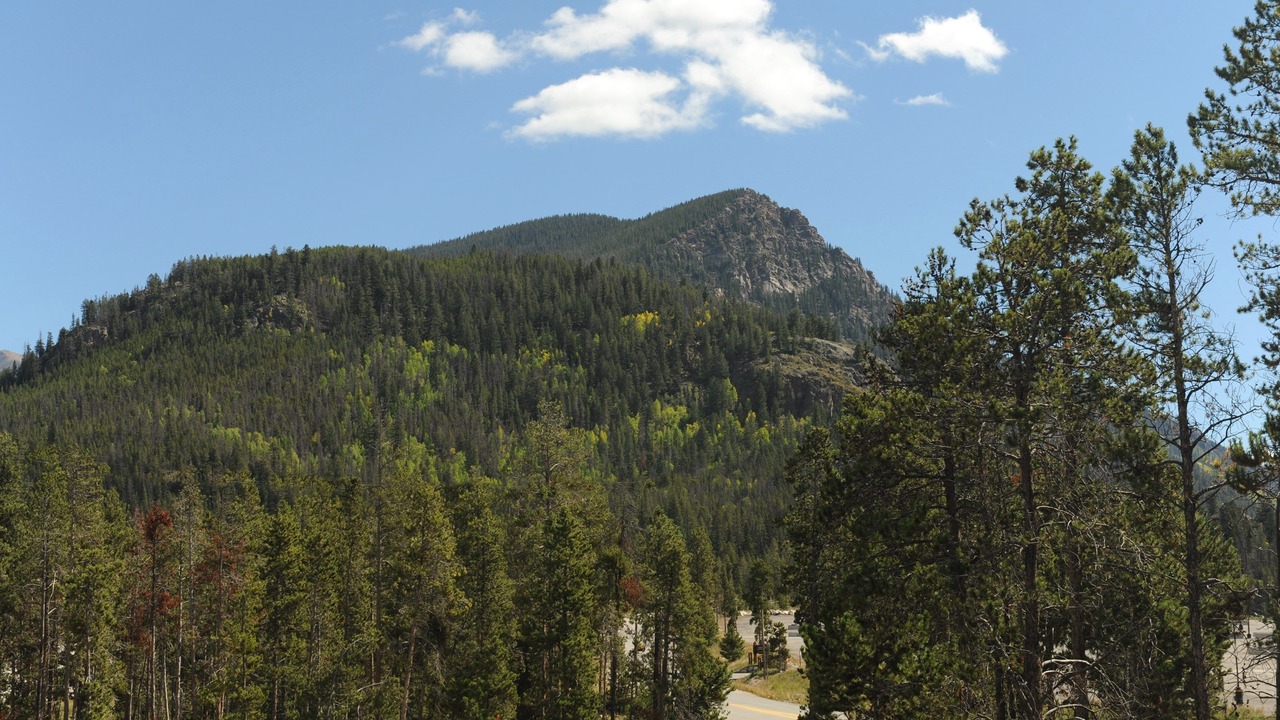 Photo of Others in Mountain House