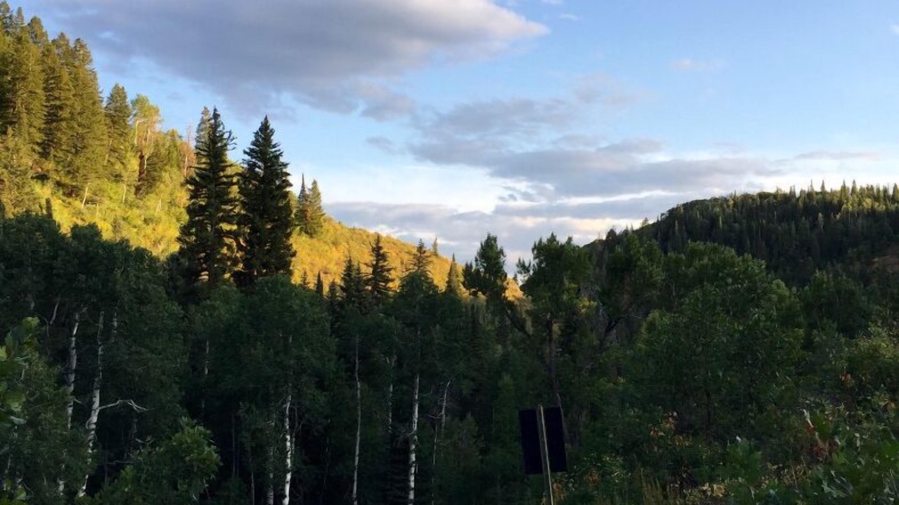 Photo of Outdoor in Steamboat Springs