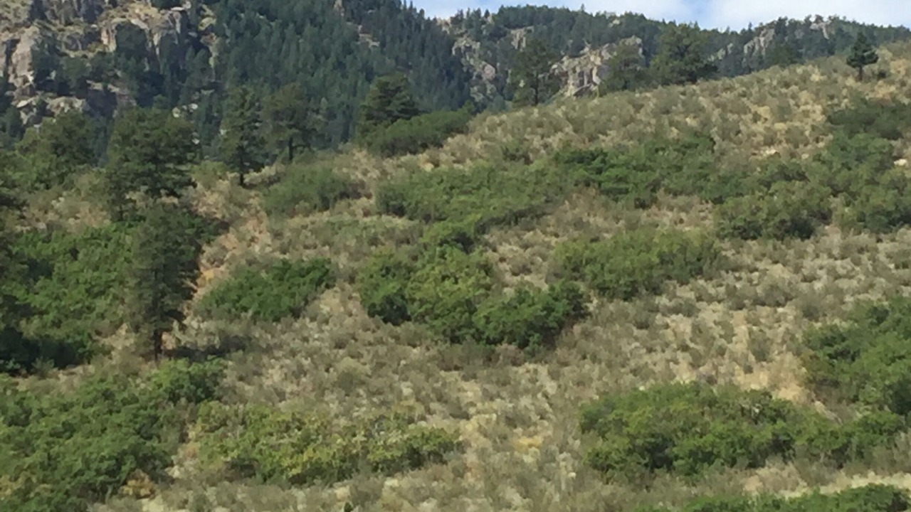 Photo of Others in Cascade