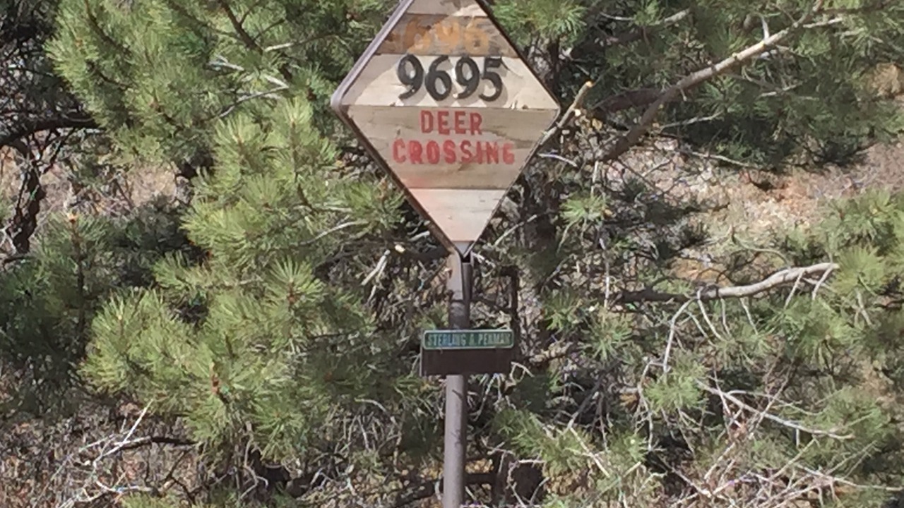 Photo of Outdoor in Cascade
