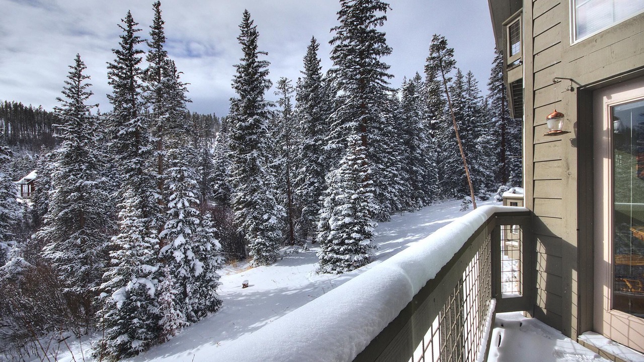 Photo of Patio Balcony in Wildernest