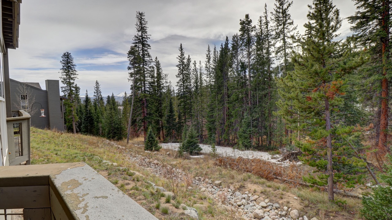 Photo of Others in Wildernest