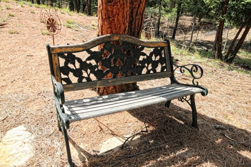 Photo of Others in Woodland Park