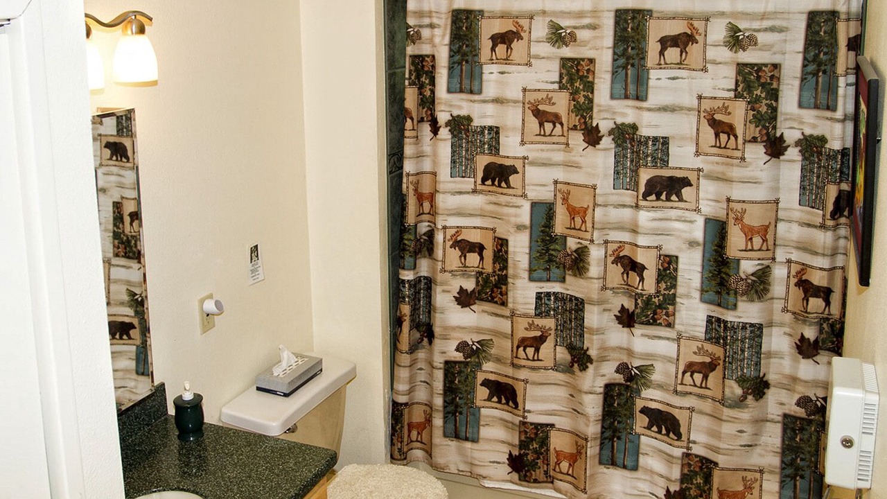 Photo of Bathroom in Woodland Park