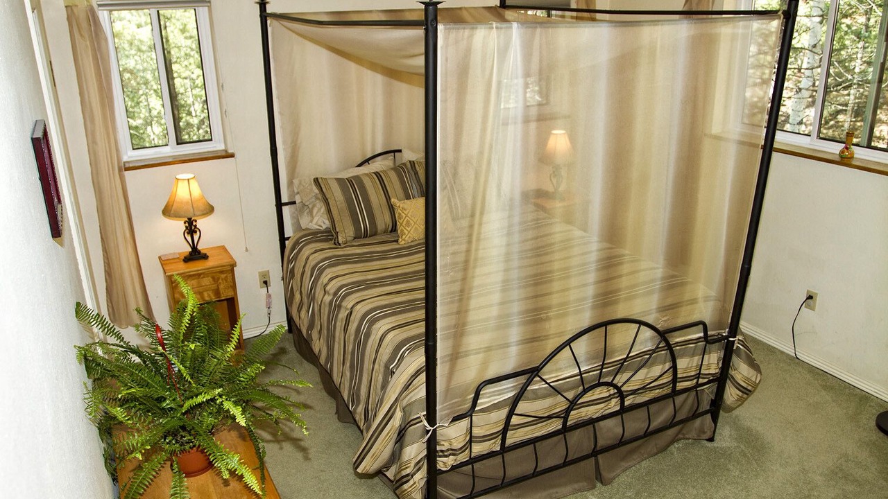 Photo of Bedroom in Woodland Park