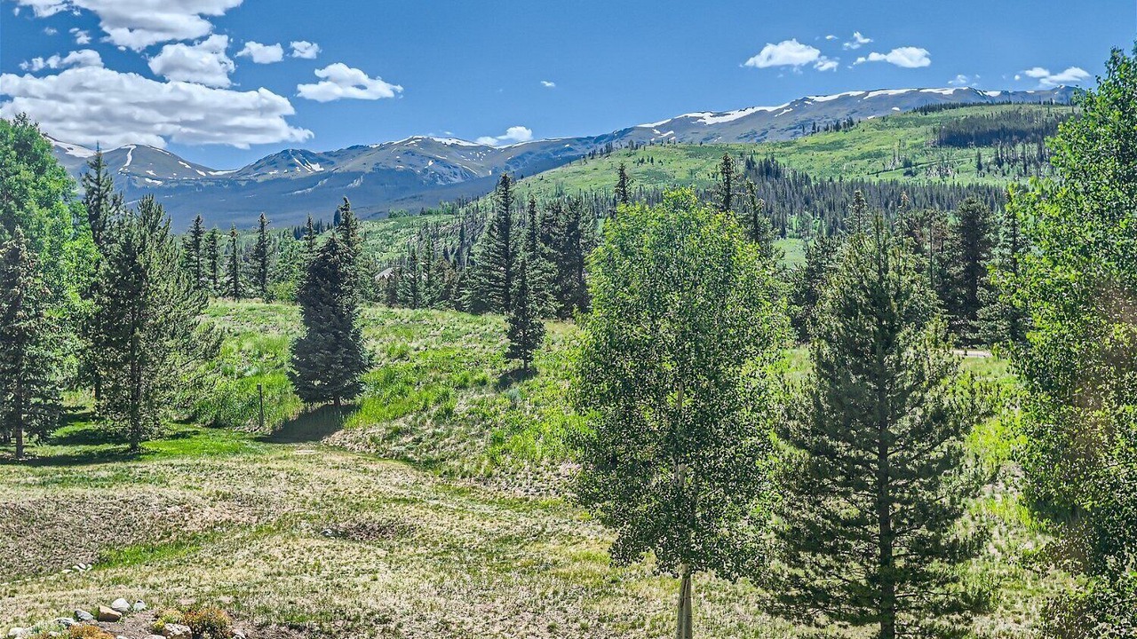 Photo of Others in The Highlands