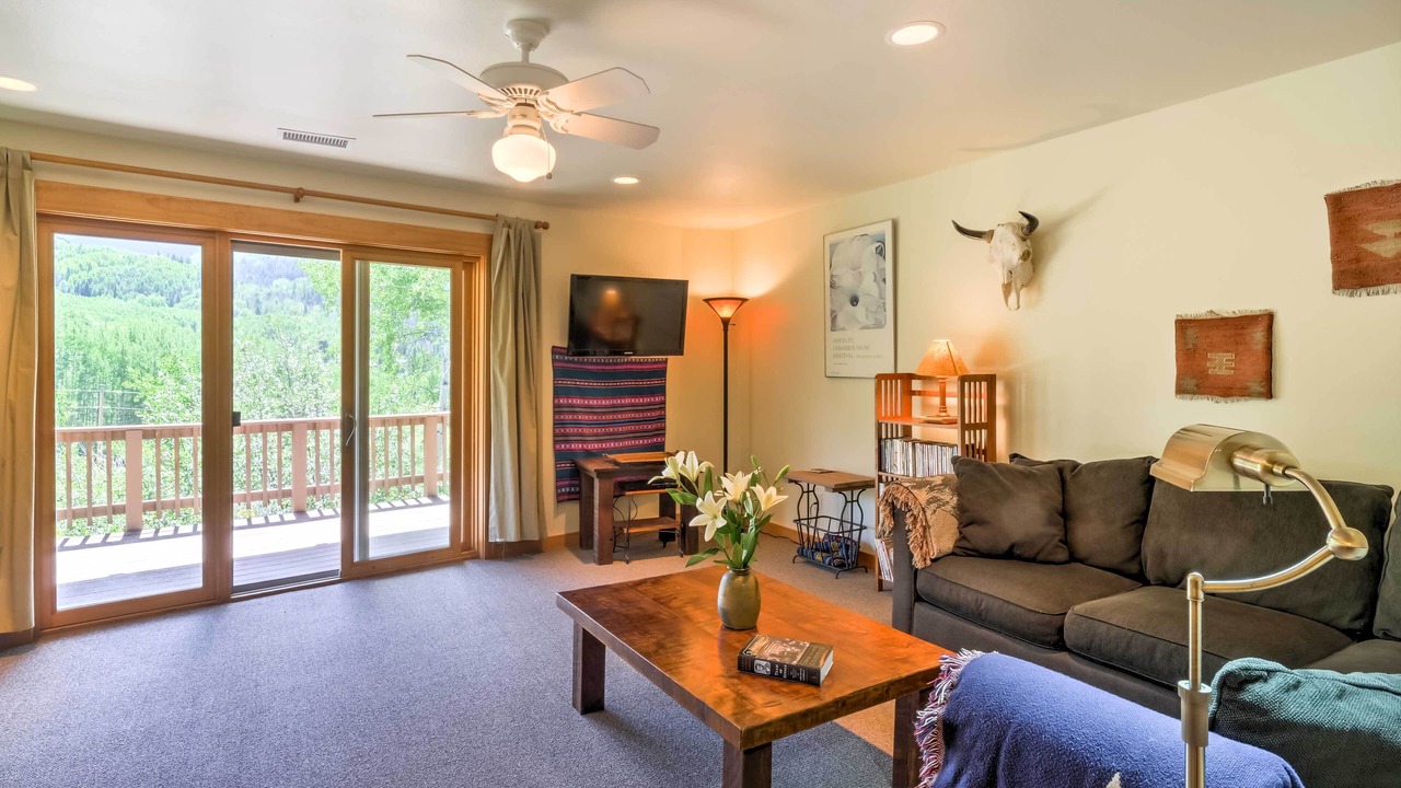 Photo of Livingroom in Carbondale