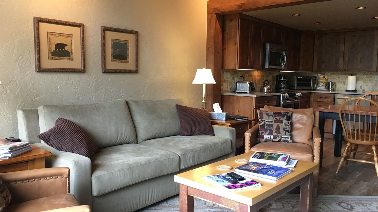 Photo of Livingroom in Vail
