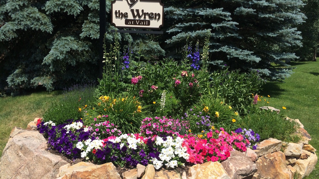 Photo of Others in Vail