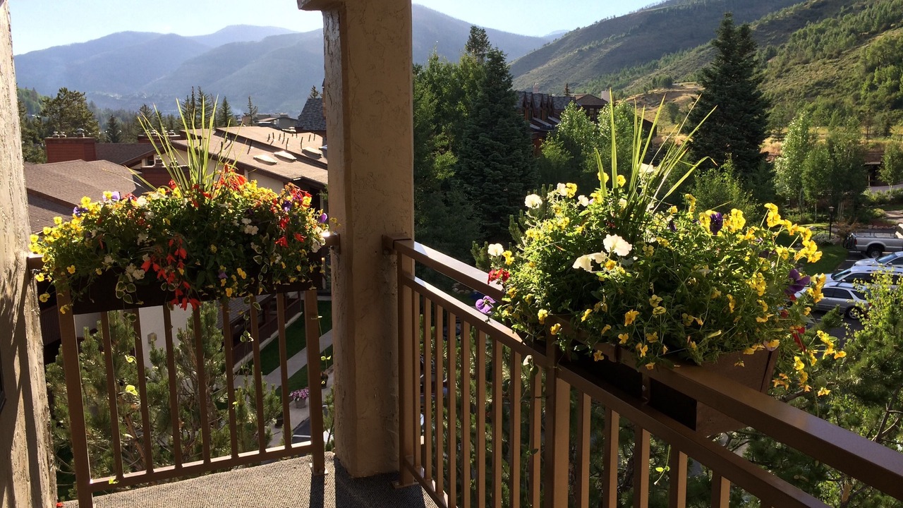 Photo of Others in Vail