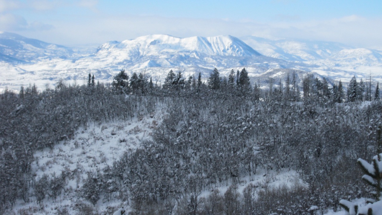 Photo of Others in Steamboat Springs