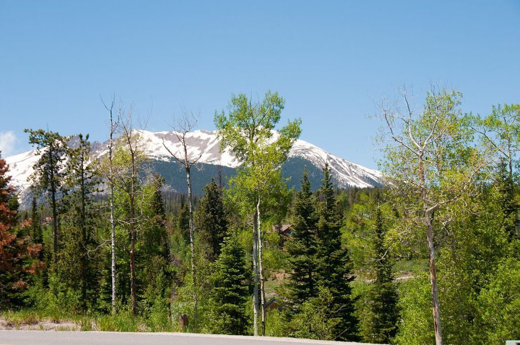 Photo of Others in Wildernest