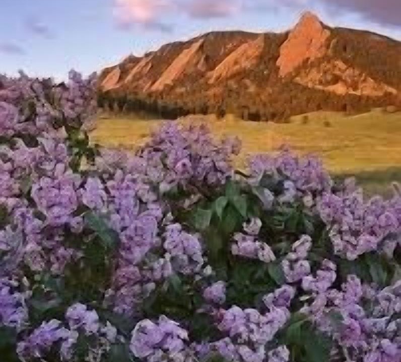 Photo of Others in North Boulder