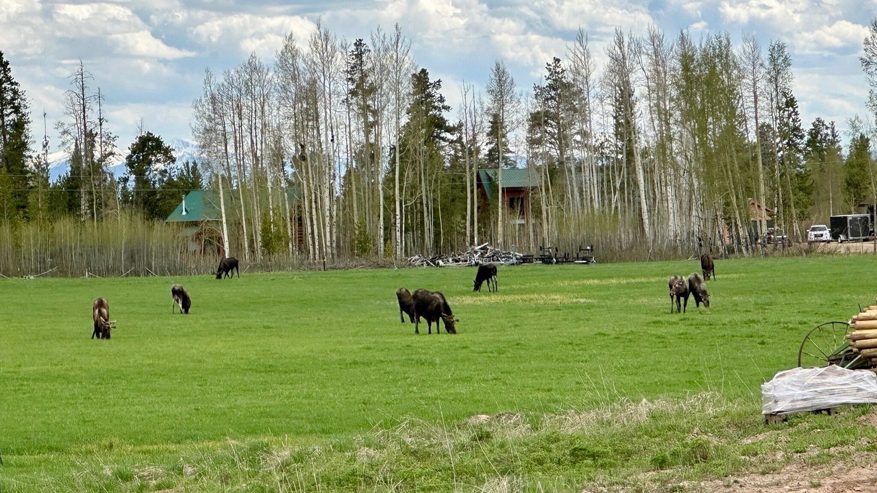 Photo of Others in Grand Lake