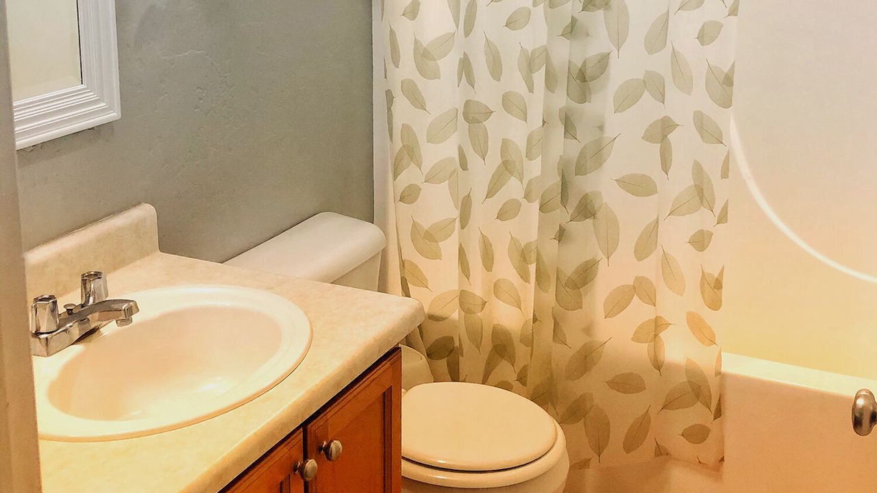 Photo of Bathroom in Basalt