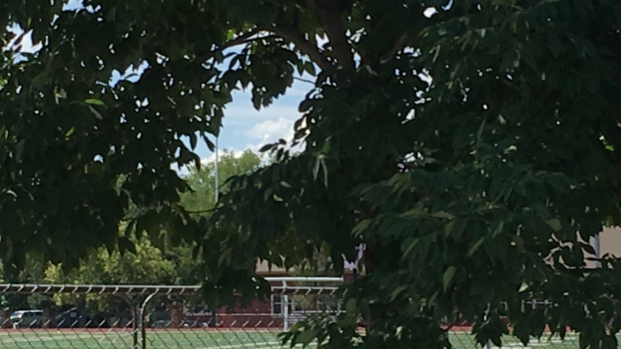 Photo of Others in Grand Junction